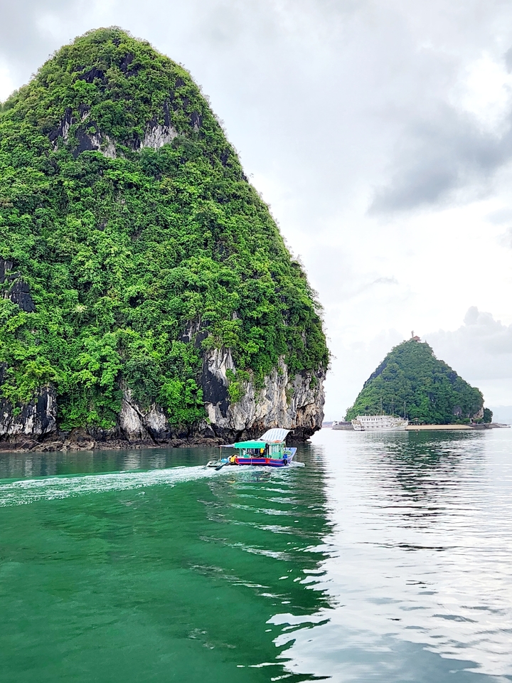 Vue panoramique de bateaux naviguant entre des formations karstiques luxuriantes.