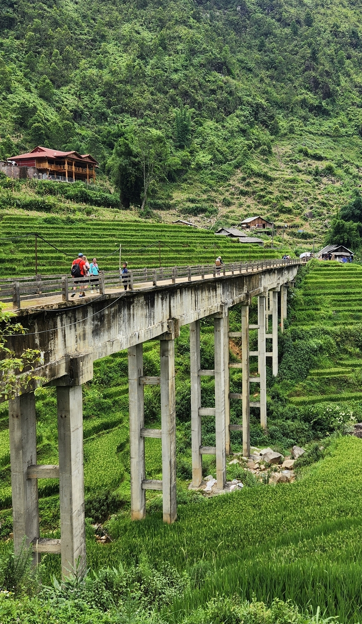 Des touristes traversant un pont au-dessus de rizières en terrasses.