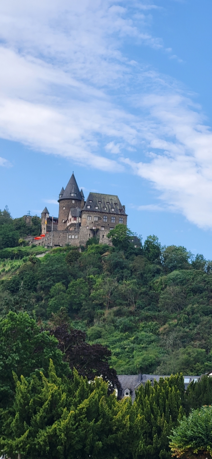 Château sur une colline entouré d'arbres.