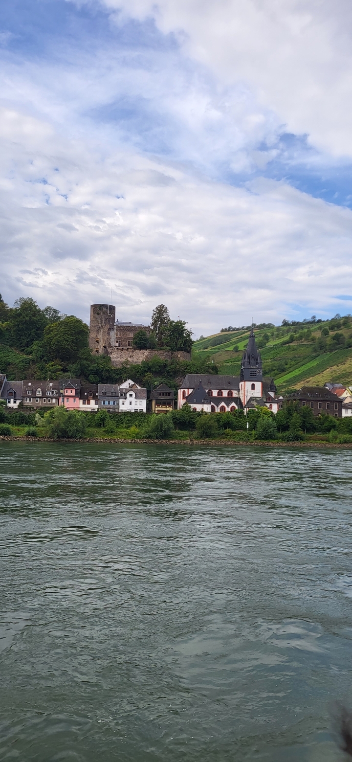 Ville historique avec château et église au bord de la rivière.