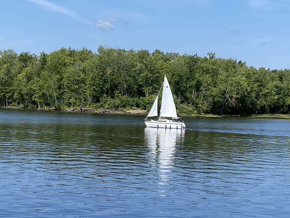 Voilier sur un lac calme avec forêt en arrière-plan.