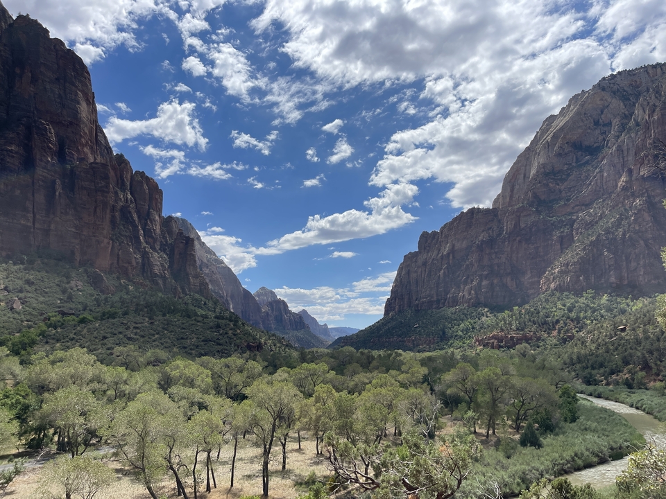 Une vue époustouflante du parc national de Zion avec ses falaises imposantes.