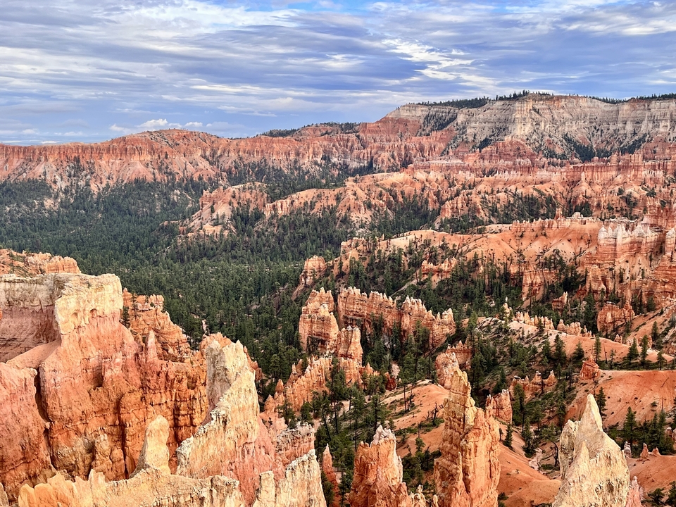 Eroded rock formations in a canyon with pine trees.