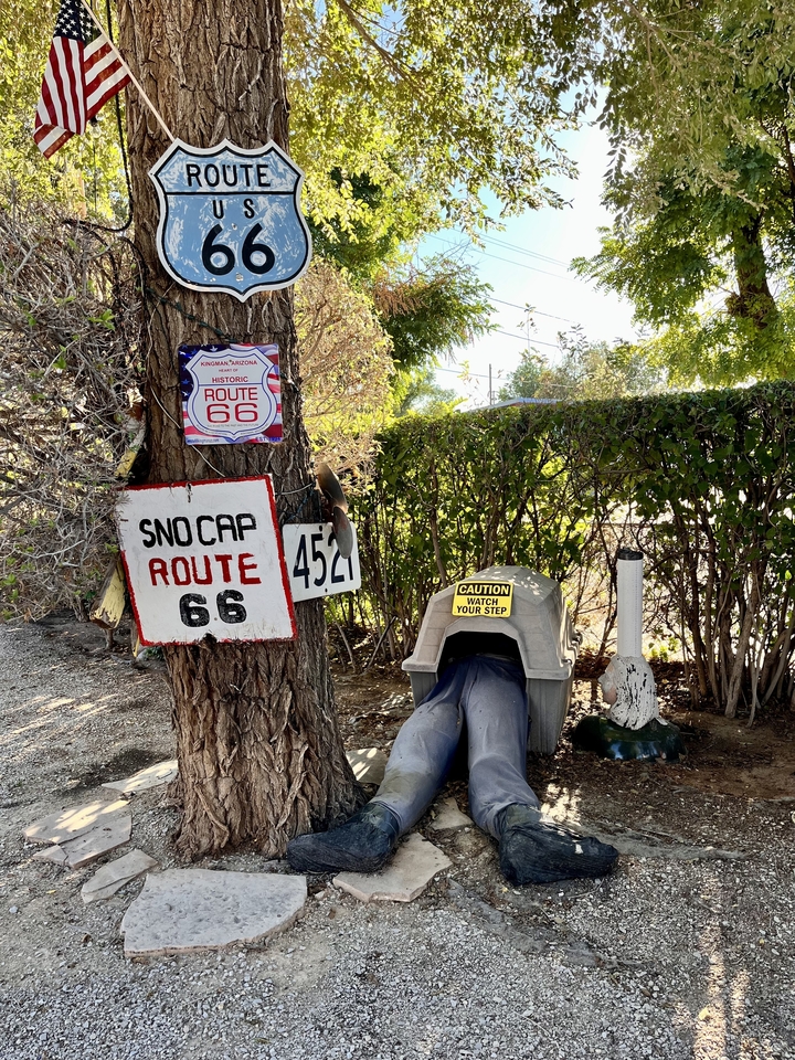 Route 66 signs and other memorabilia on display near a tree.