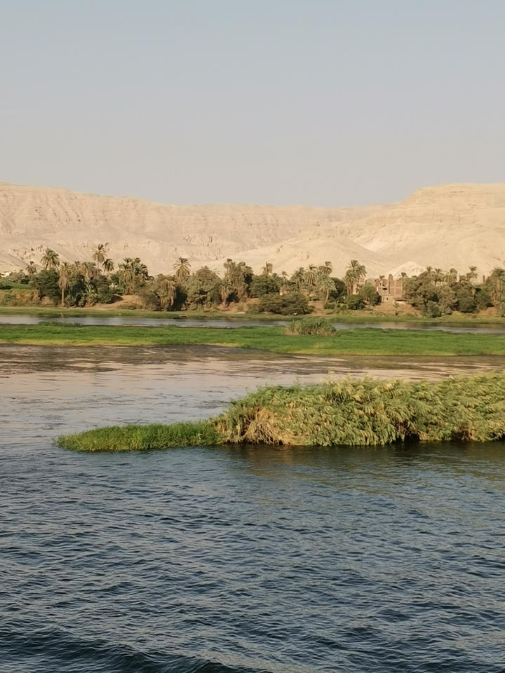 Vue d'une rivière avec de la végétation sur ses rives.