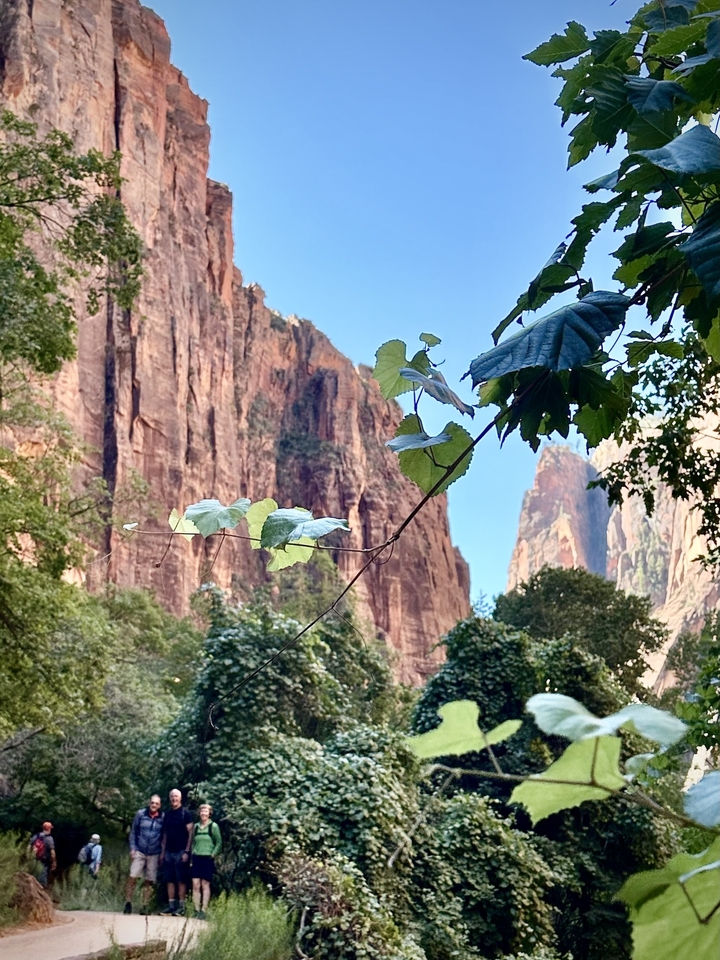 Premier plan feuillu avec des parois de canyon imposantes en arrière-plan.