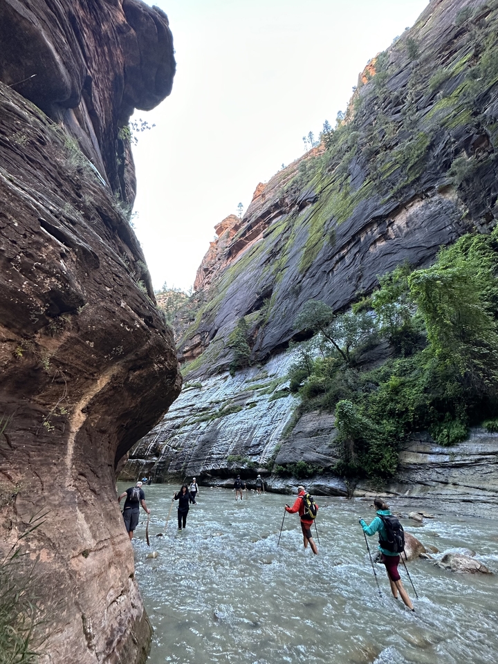 Étroit canyon avec des parois rocheuses escarpées et de la verdure.