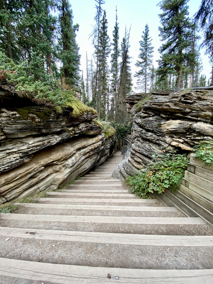 Sentier à travers un terrain rocheux accidenté entouré d'arbres.