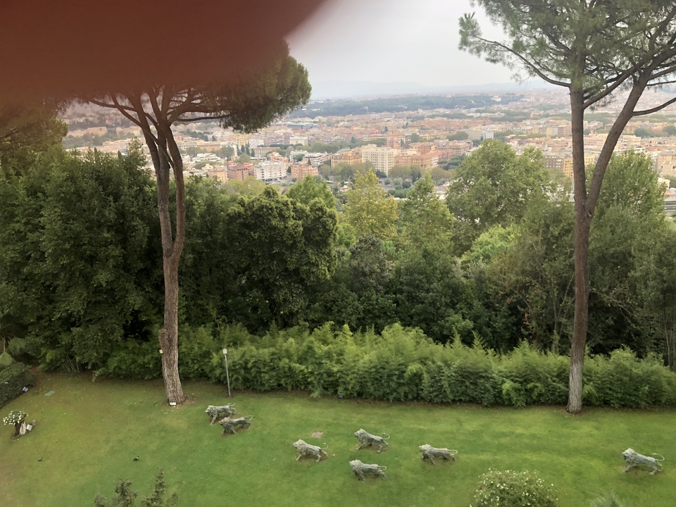 Vue lointaine d'une ville avec une végétation luxuriante au premier plan.