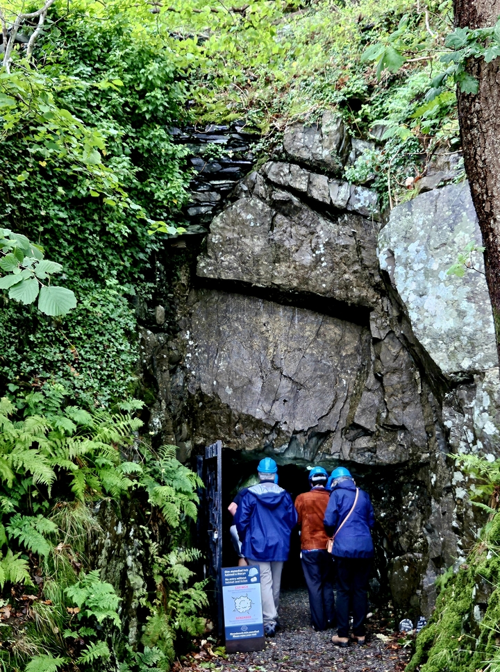 Grande paroi rocheuse avec couverture d'arbres et des personnes portant des casques de sécurité.