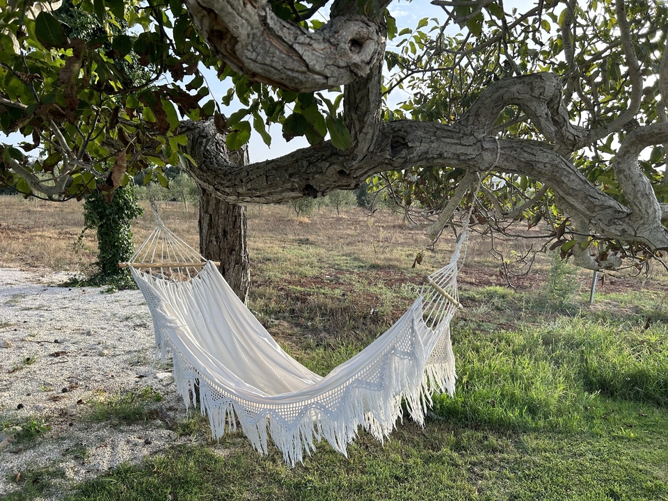 Hamac blanc suspendu à un arbre dans une zone herbeuse.
