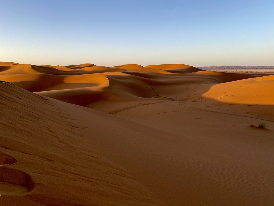 Vue expansive de dunes désertiques sous un ciel bleu dégagé.