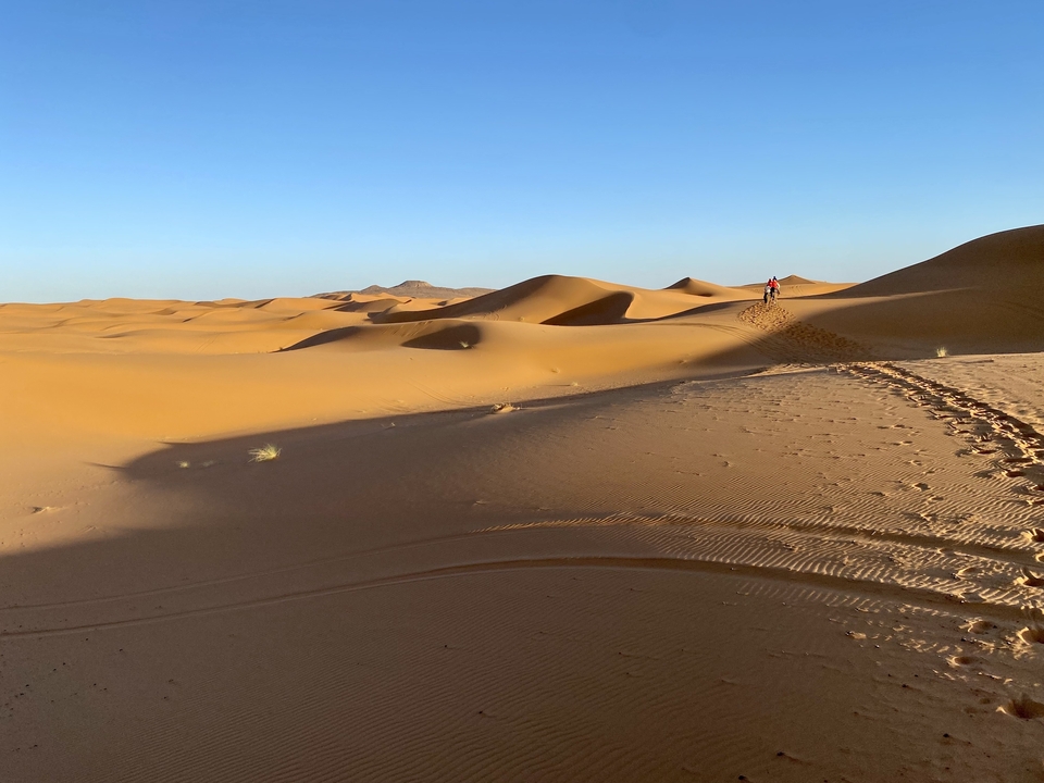 Dunes de désert ensoleillées s'étendant jusqu'à l'horizon.