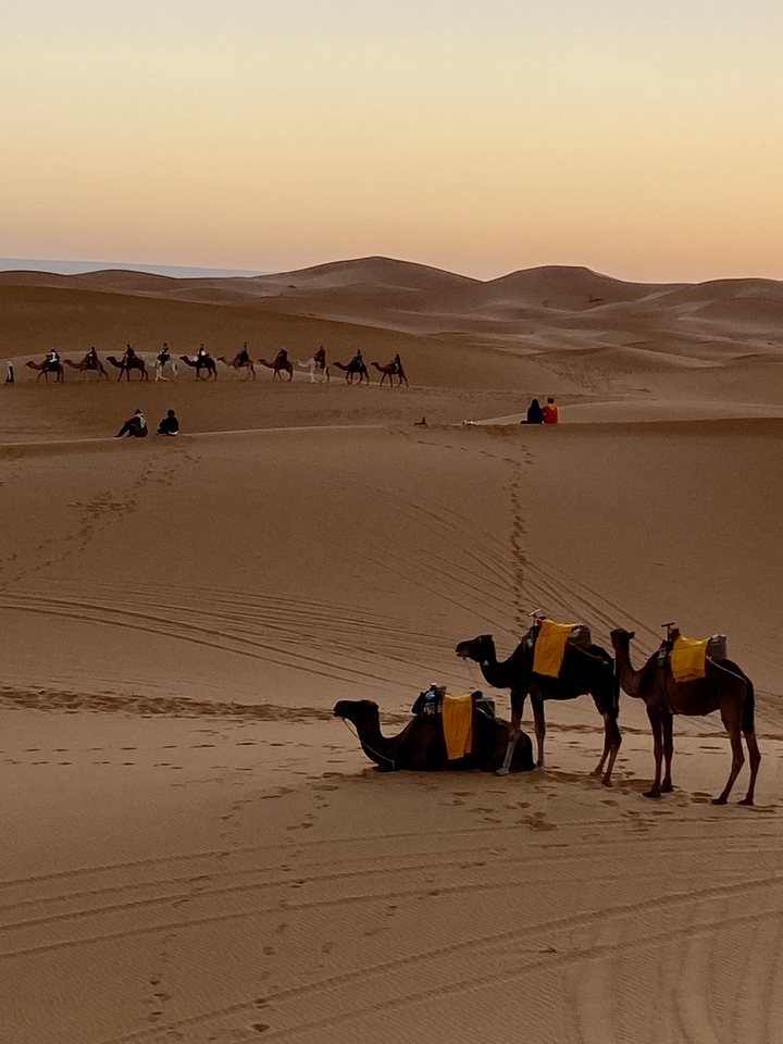 Caravane de chameaux et un groupe de personnes capturés dans le paysage désertique.