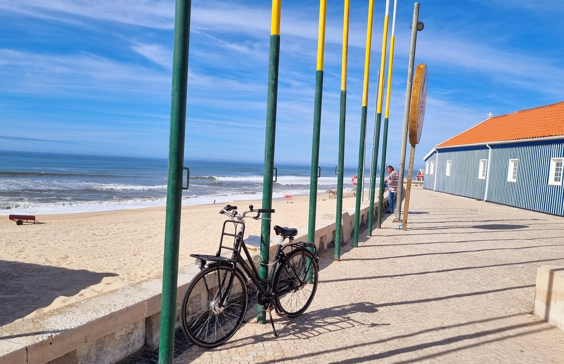 Vélo garé sur une promenade en bord de mer.