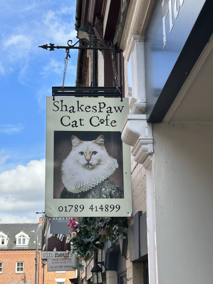 Enseigne du Café Chat Shakepaw suspendue à un mur de briques.
