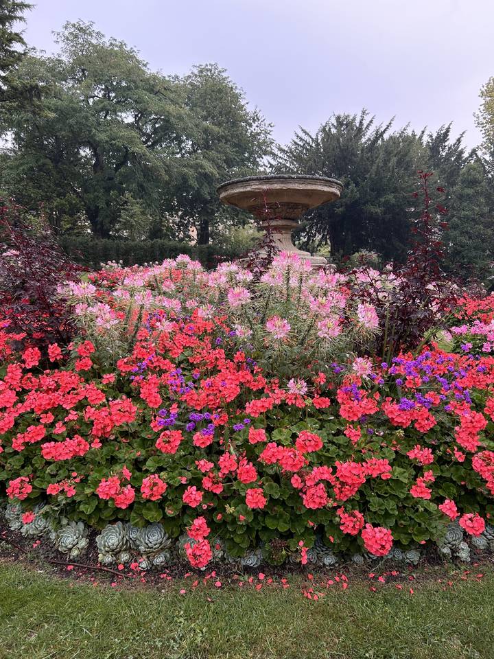 Jardin fleuri avec une variété de fleurs colorées et une fontaine.