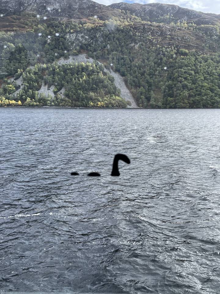 Un grand plan d'eau avec de petites ondulations et un paysage boisé.