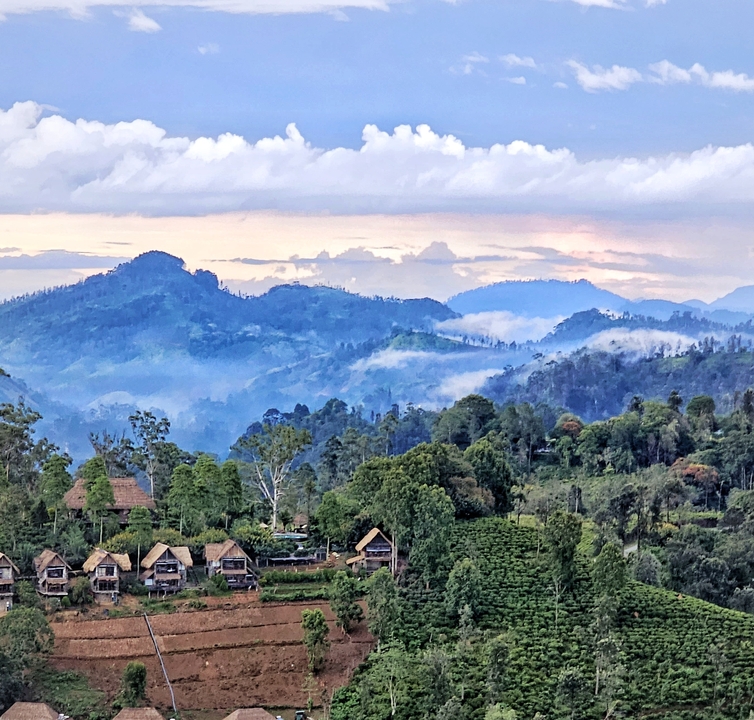 Paysage de montagne brumeux avec une végétation luxuriante et des toits en bois.