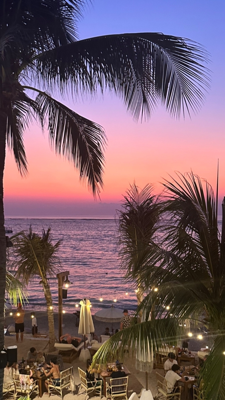 A vibrant sunset with palm trees by the sea.