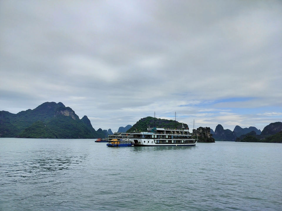 Bateaux de croisière sur une baie avec des karsts calcaires au loin.