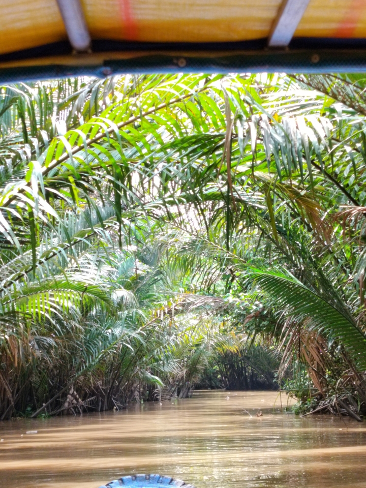 Feuillage dense de jungle aux nuances variées de vert.