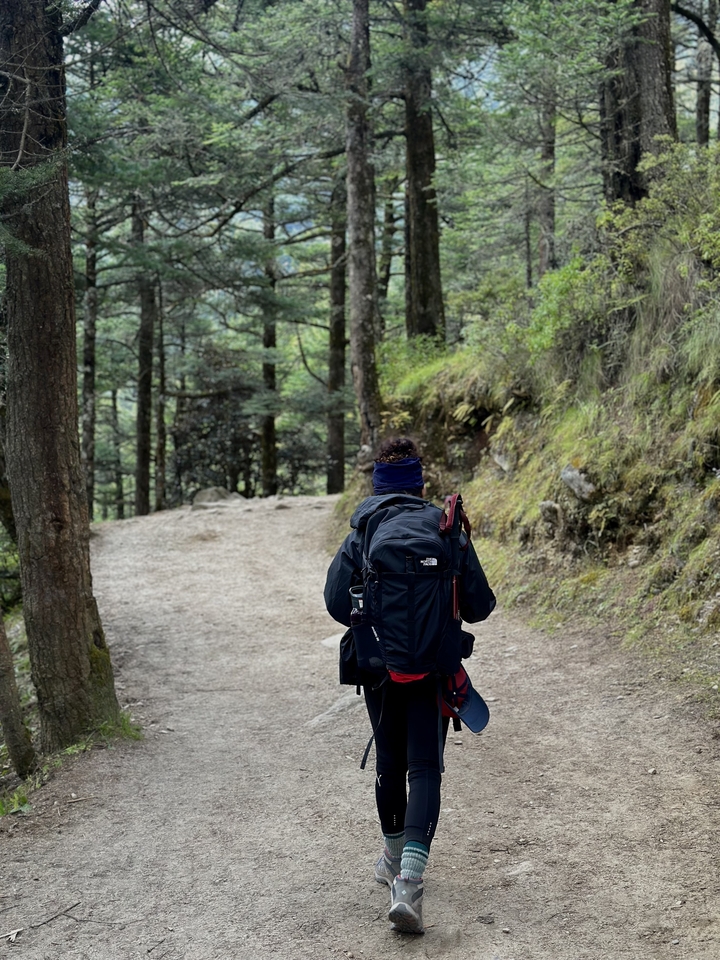 Personne marchant le long d'un sentier forestier avec un sac à dos.