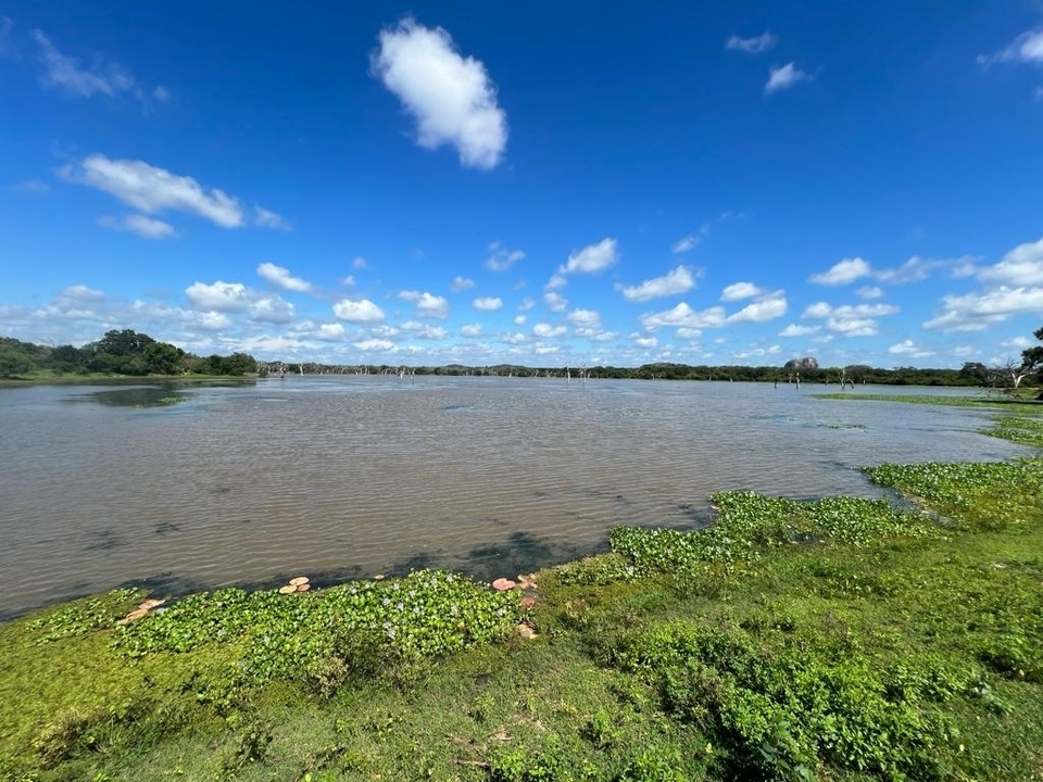 Vue panoramique d'un lac avec un ciel bleu et des nuages.