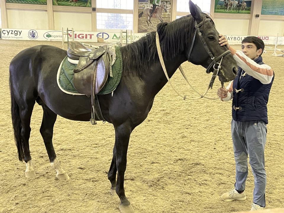 Hombre con un caballo en una pista cubierta.