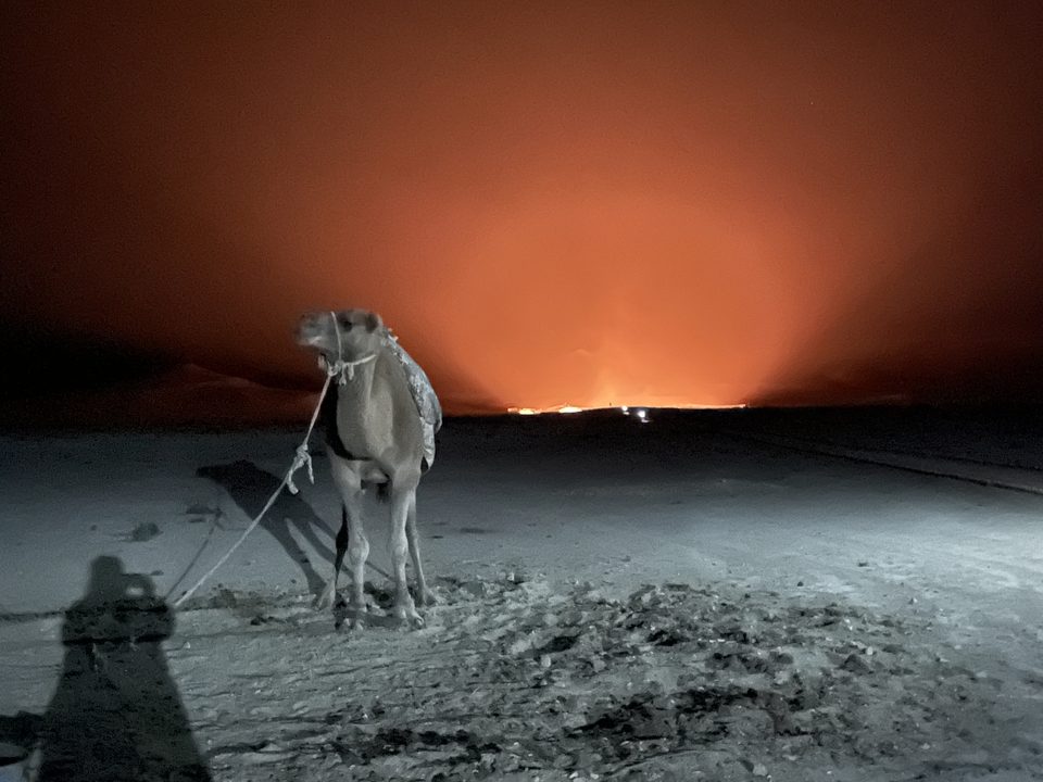 Un camello en el desierto con un cielo naranja vívido.