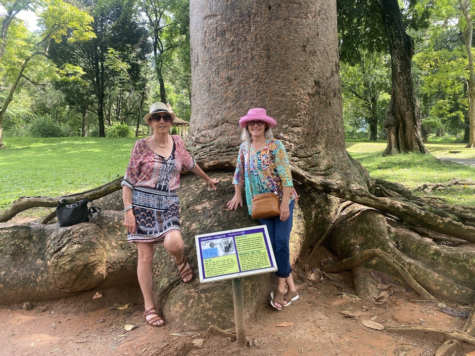 Deux femmes posant avec un grand arbre.