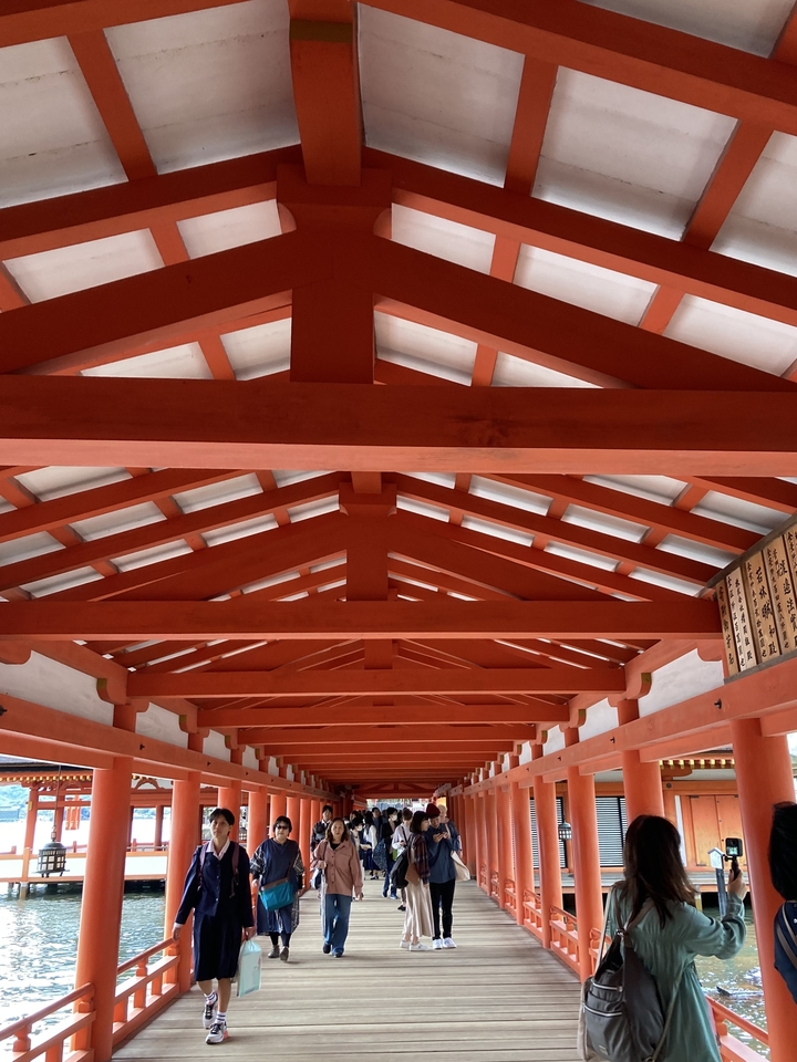 Interior view of a traditional Japanese wooden roof.