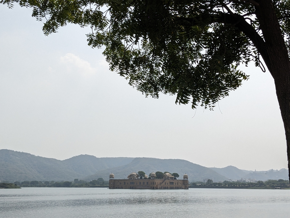 Vue lointaine du Jal Mahal à travers un lac avec des arbres au premier plan.