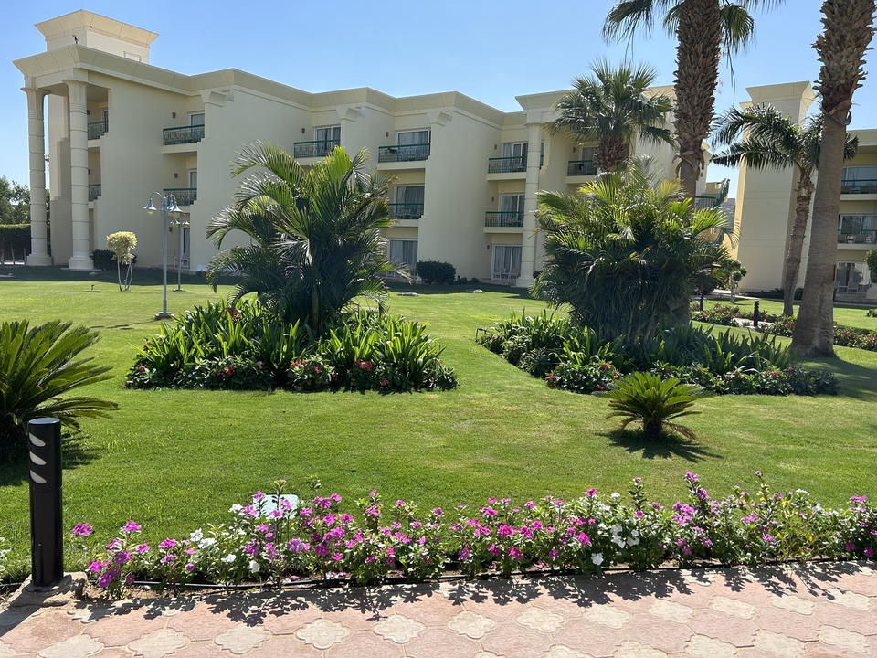 Jardin paysager vert devant un bâtiment.