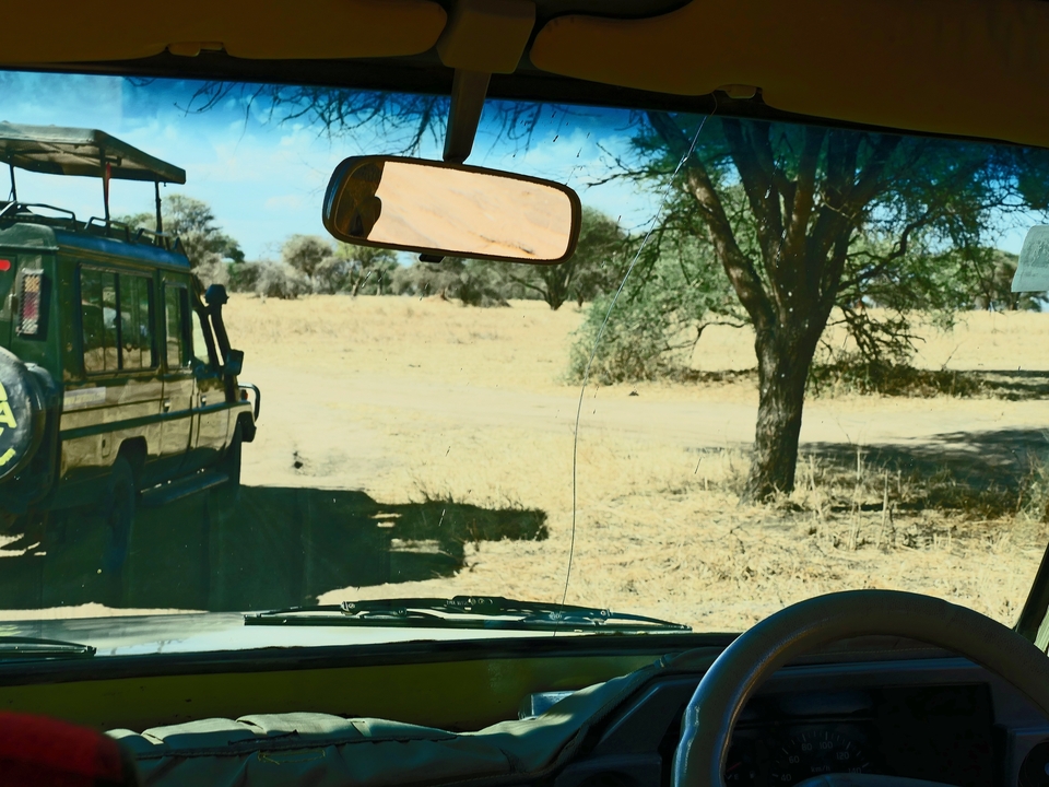 Vue depuis l'intérieur d'une voiture en safari avec un autre véhicule à l'extérieur.