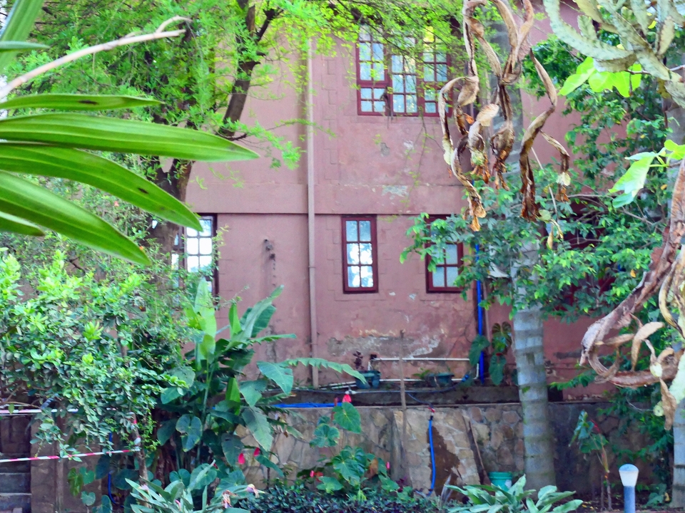 Façade d'ancien bâtiment avec des plantes envahissantes.