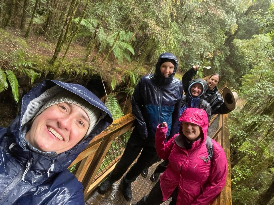Groupe de personnes habillées pour la pluie sur un sentier forestier.