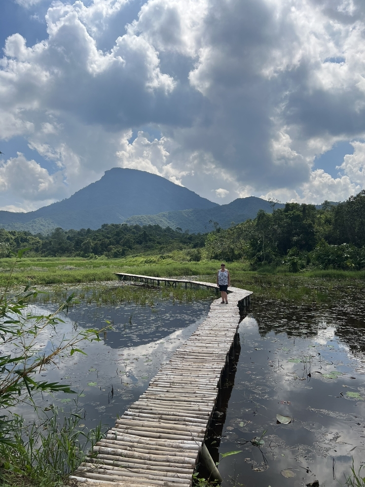 Personne debout sur un pont en bois au-dessus d'un paysage marécageux.