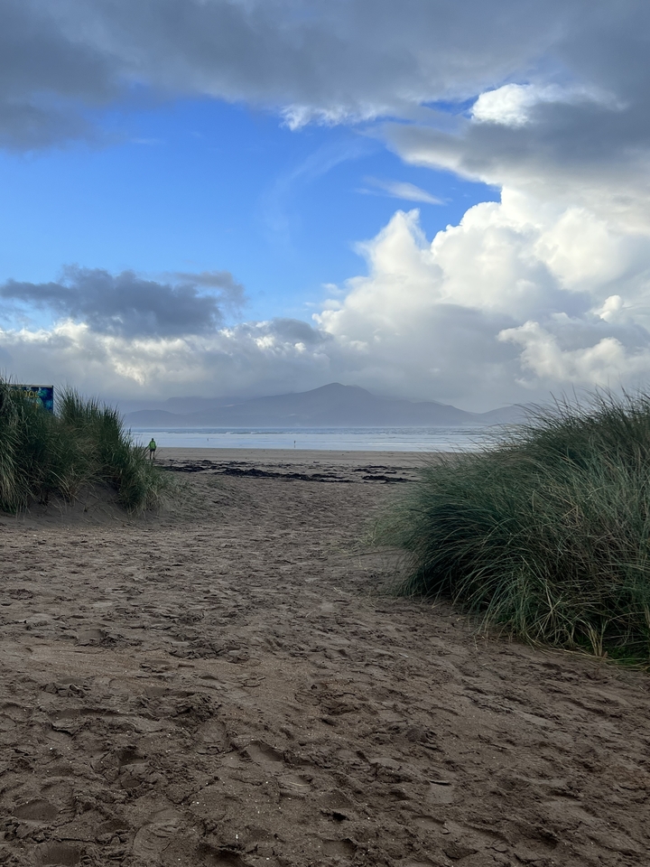 Une plage de sable s'ouvrant sur des dunes herbeuses.