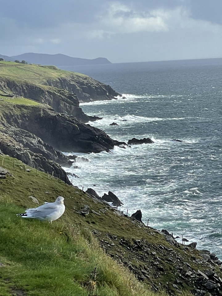 Côte rocheuse avec des vagues qui se brisent.