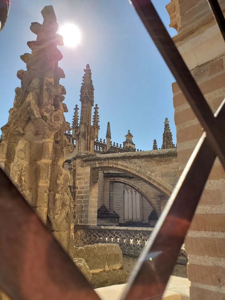 Gothic architectural details of a building via window.