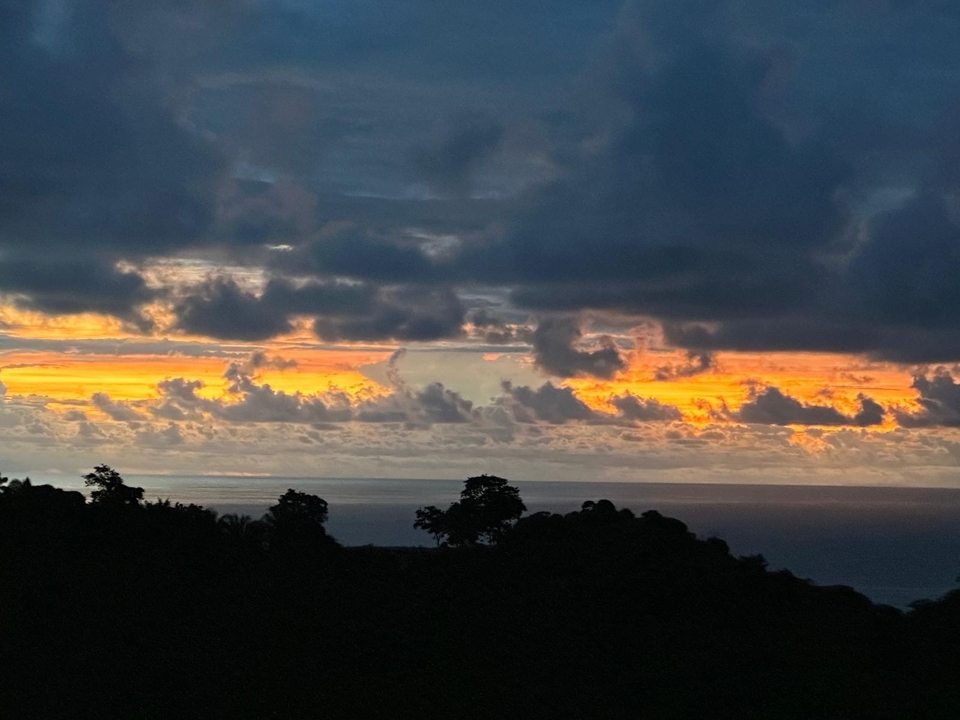 Coucher de soleil coloré sur l'océan avec des arbres en silhouette.
