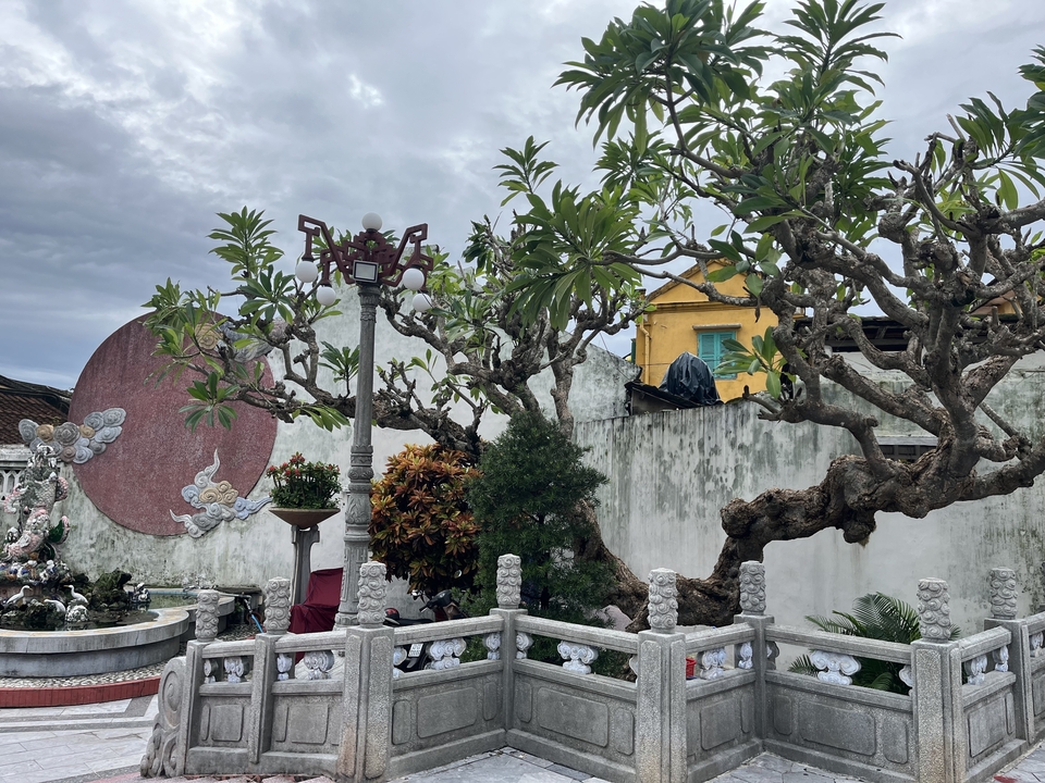 Jardin de style asiatique avec des arbres et des éléments décoratifs.