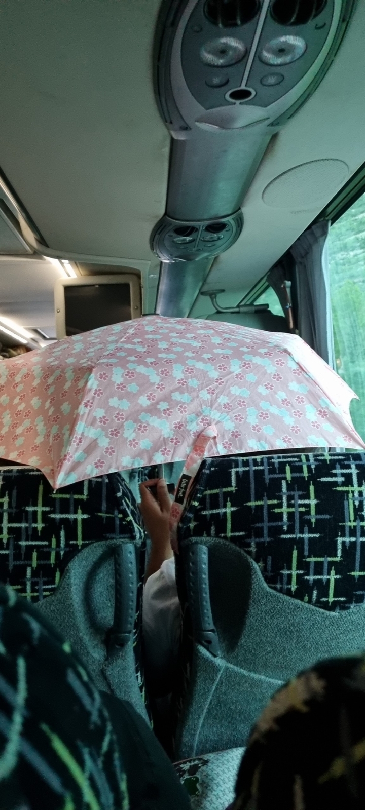 Parapluie fleuri dans un bus.