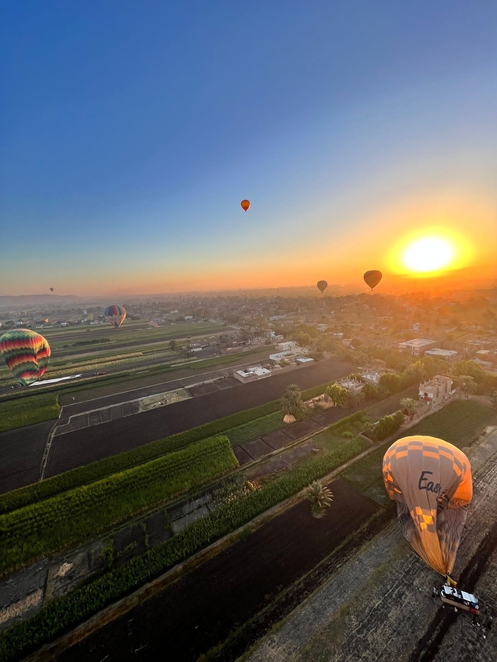 Montgolfières au lever du soleil avec des champs en contrebas.