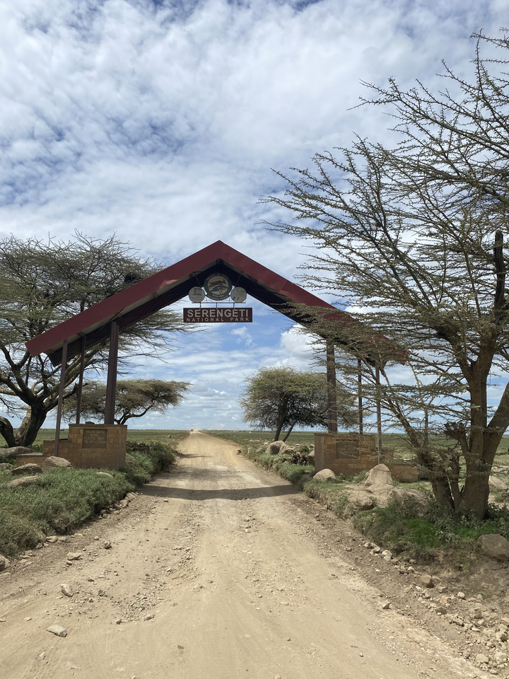Panneau d'entrée du parc national du Serengeti avec des arbres et un ciel dégagé.