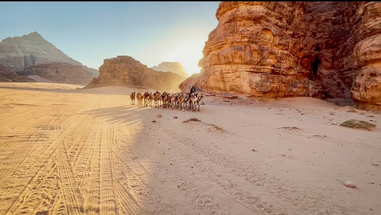 Caravane de chameaux traversant un paysage désertique au lever du soleil.