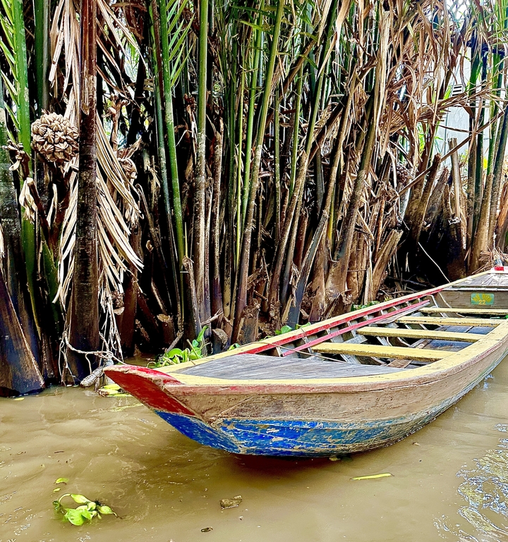 Bateau en bois amarré près d'une végétation luxuriante.
