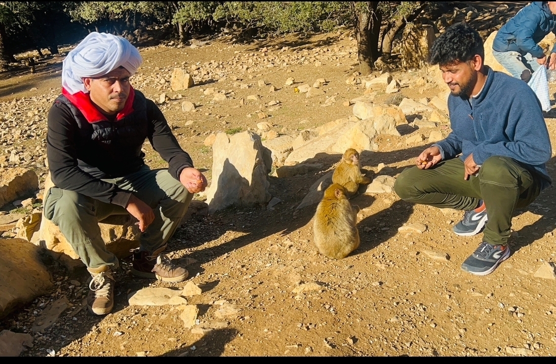 Des gens qui interagissent avec des singes dans une zone rocheuse.