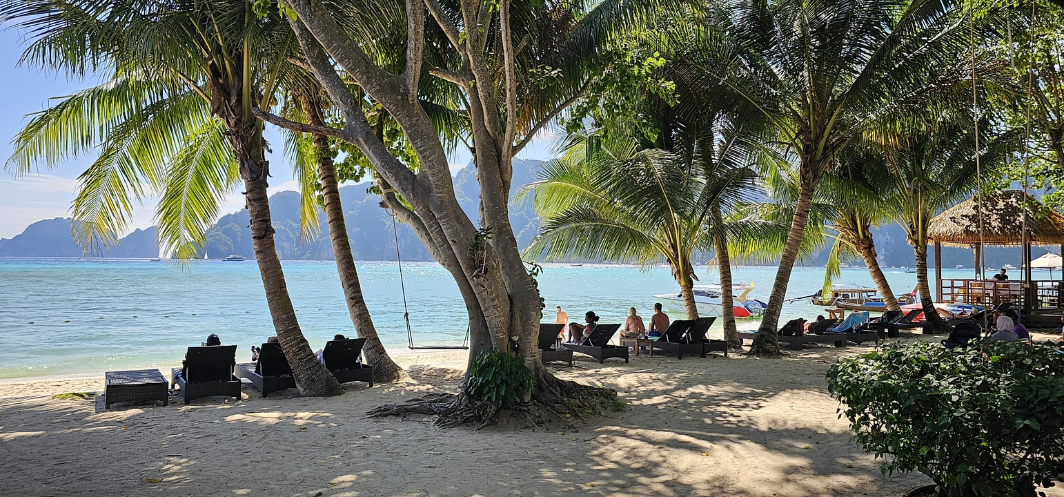 Plage avec chaises longues sous les palmiers.